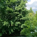 Residenza Sul Livenza Lejlighed *